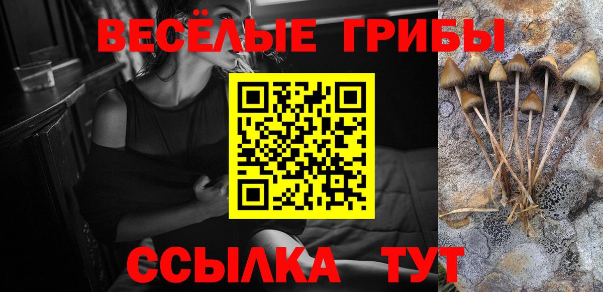 Галлюциногенные грибы Psilocybe Казань