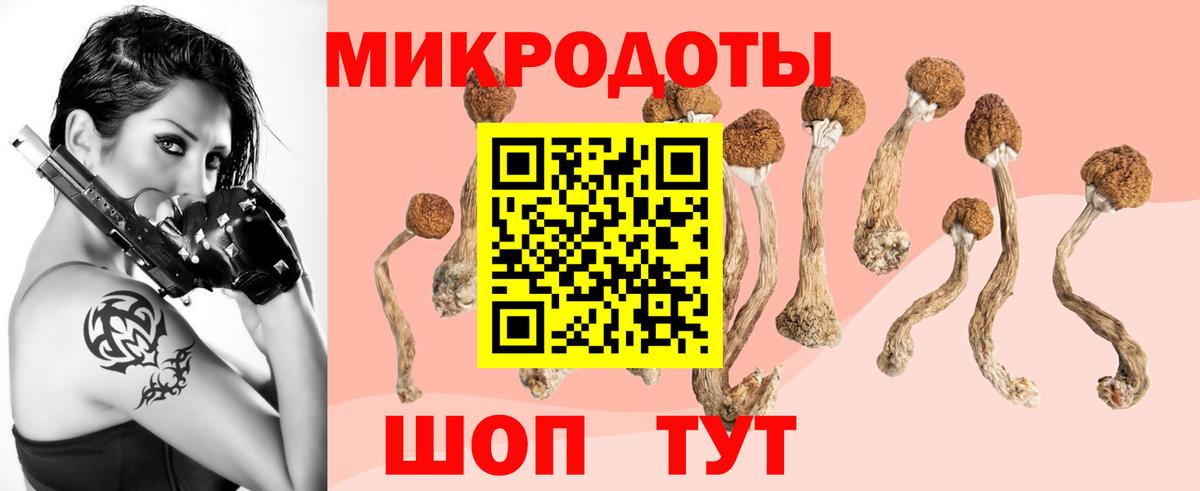 Галлюциногенные грибы мицелий  Вход с VPN  Казань 